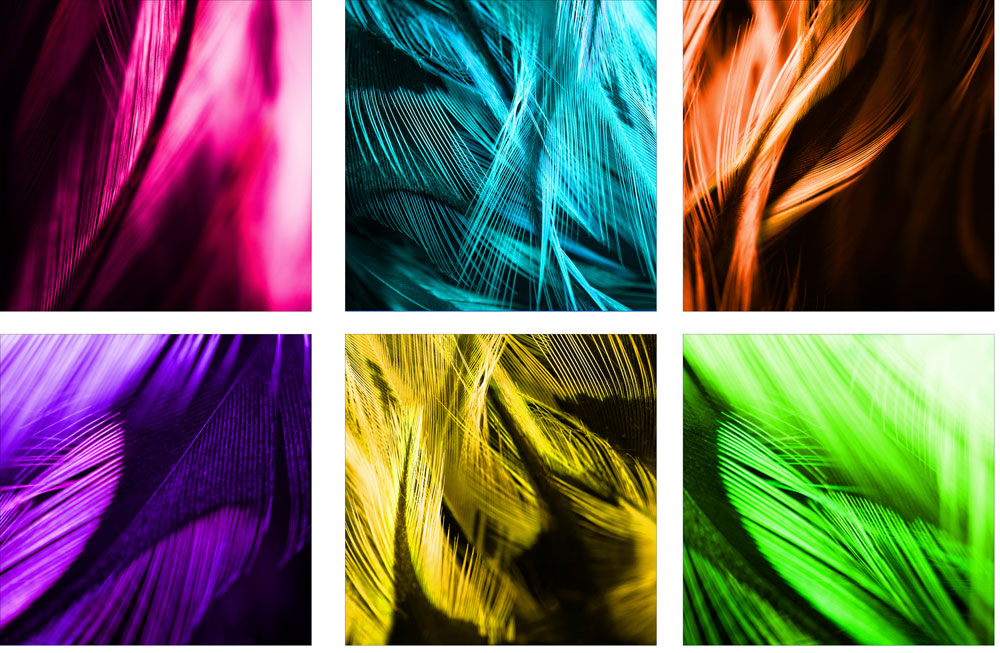 AL11653_SO6 neon more colors