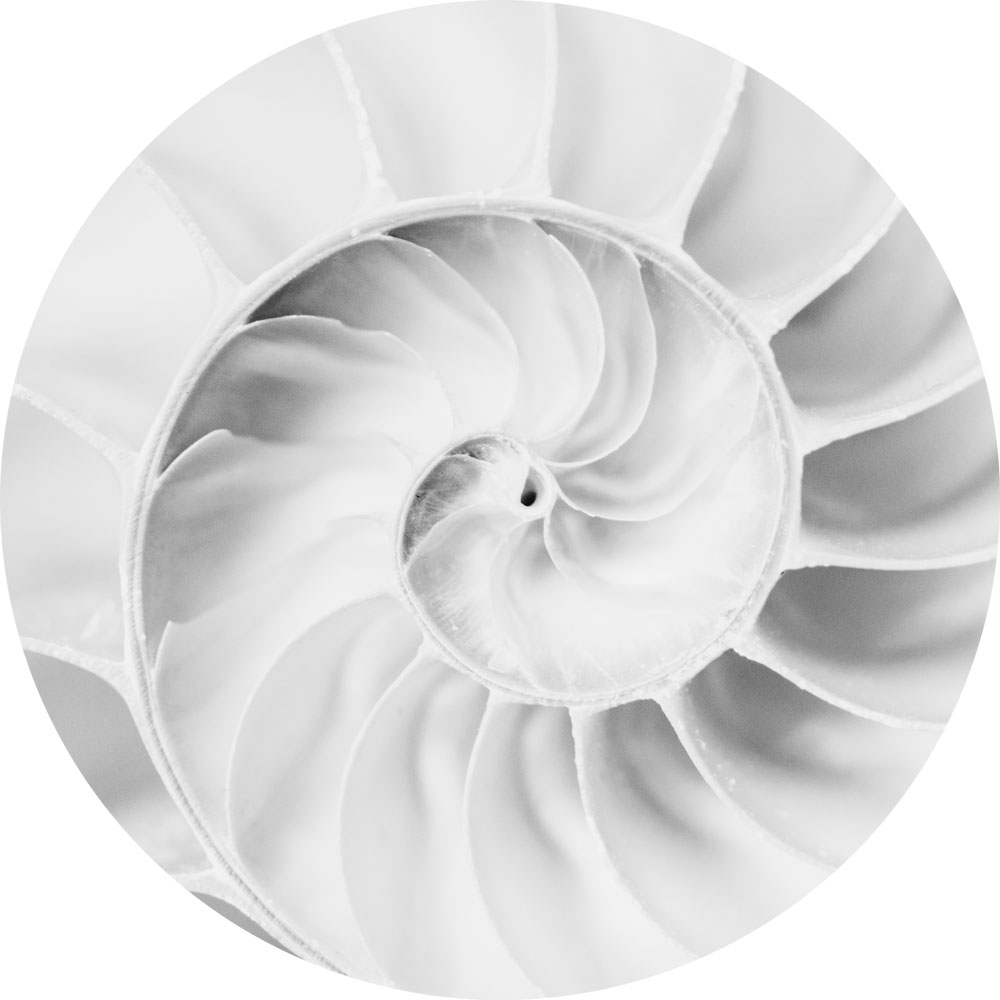 AL16237BW_CI