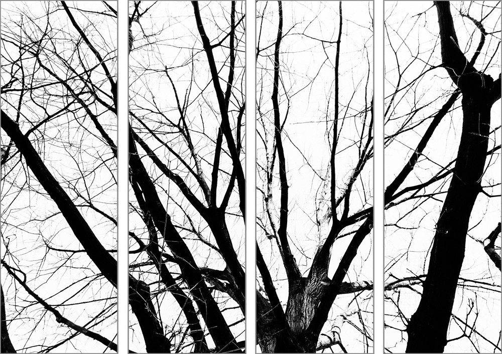 AL17295_SO4