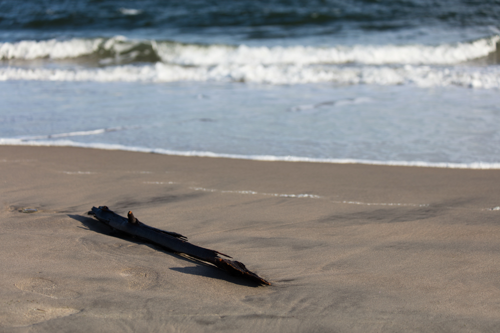 AL18475