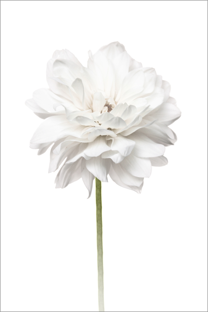 AL09943ED_01