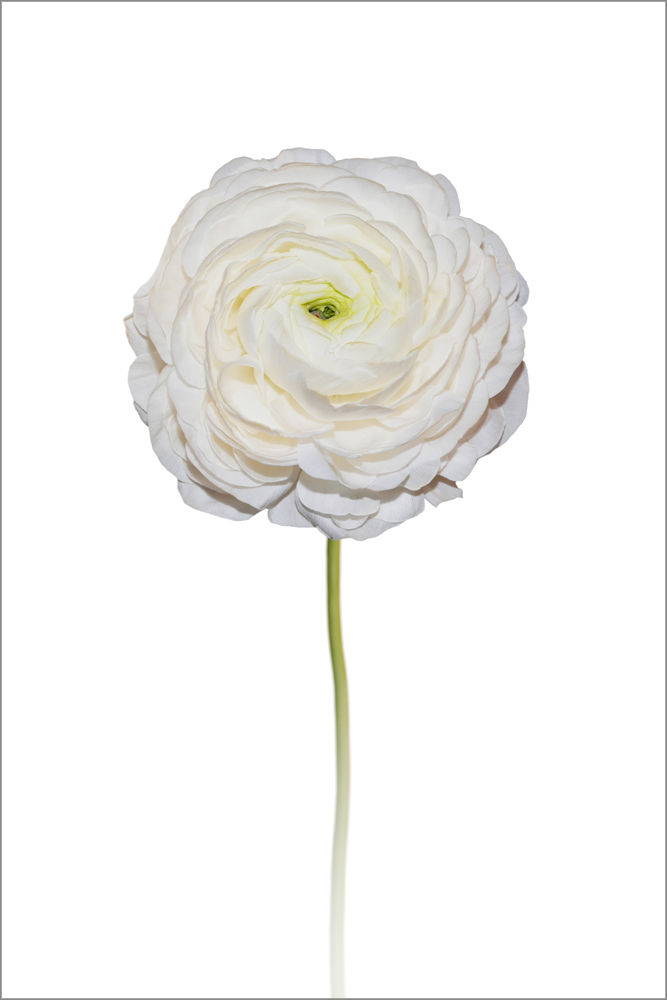AL18240