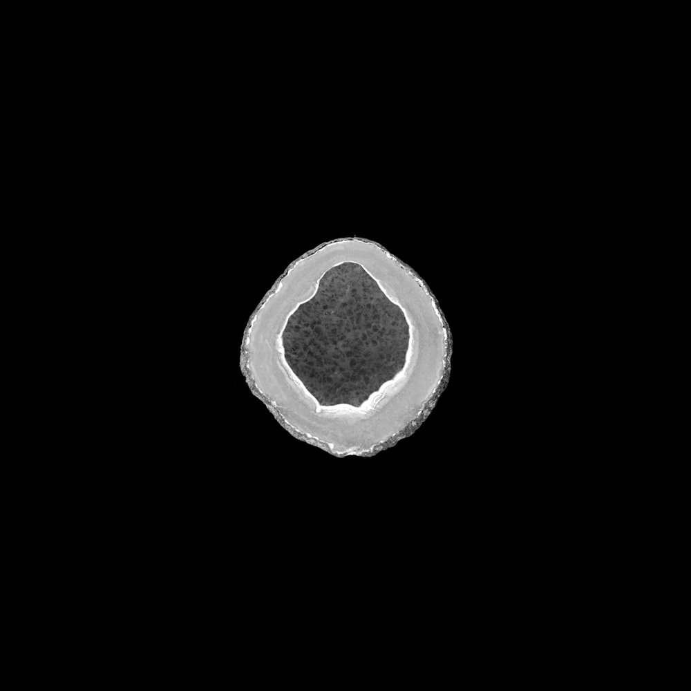 AL00927SIVBW