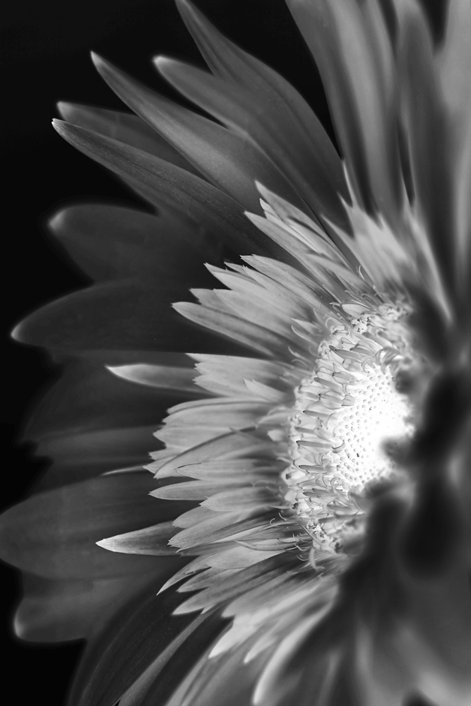 AL13794_IVBW