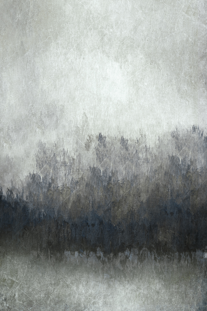 AL13497ED_02