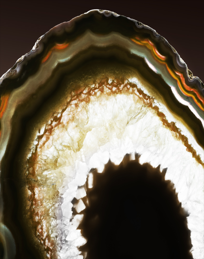 AL19013_44x56