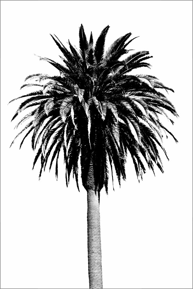 AL19173