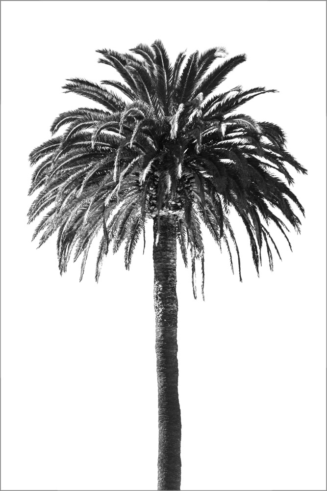 AL19174