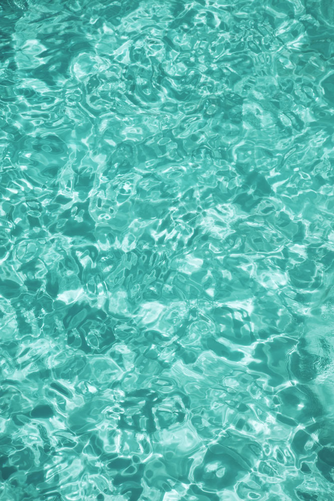 AL19483 more colors