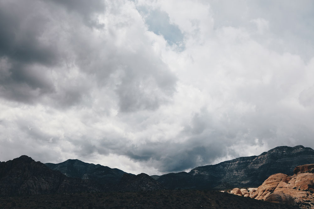 AL19543