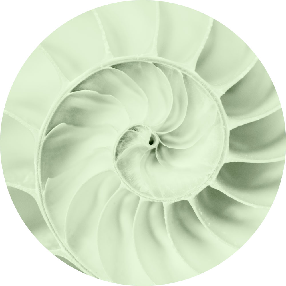 AL16237PG_C