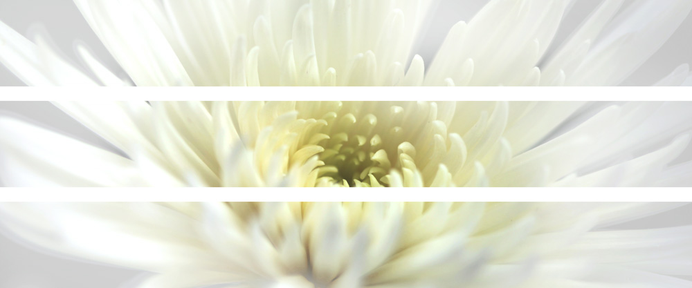 AL09706C_SO3