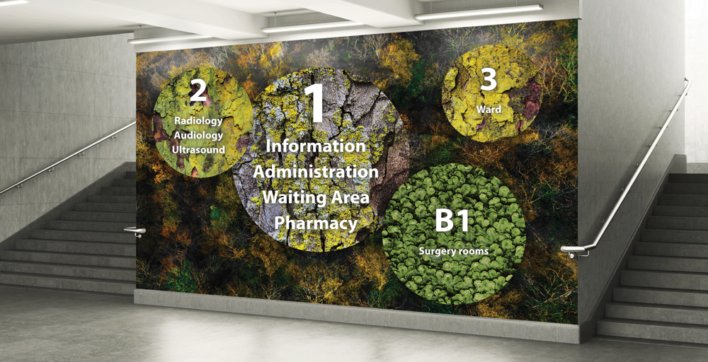 wayfinding - forest