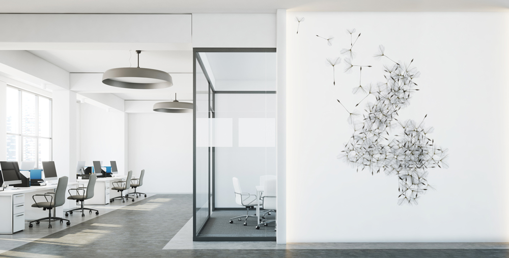wayfinding - dandelion
