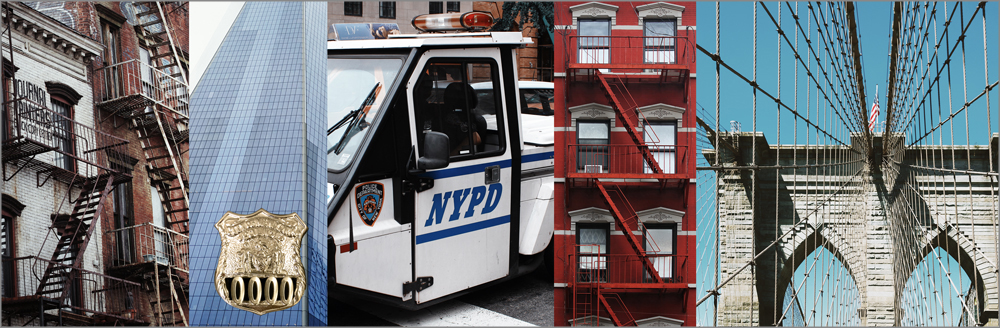 NYPD11