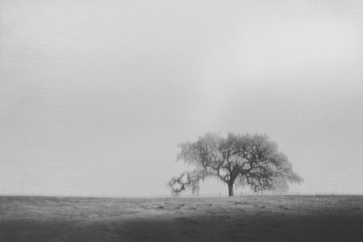 AL04481_GY