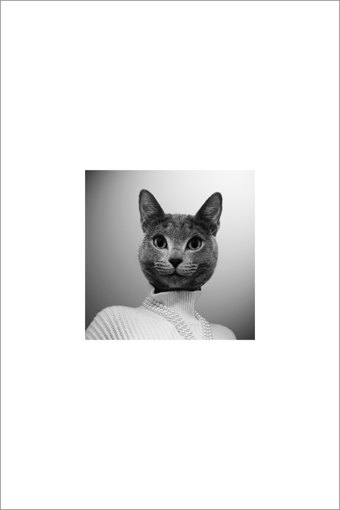 AL15265_WB01
