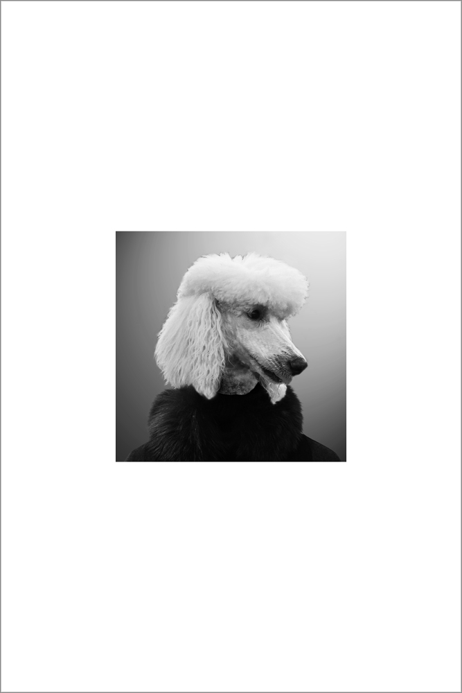 AL15267_WB01