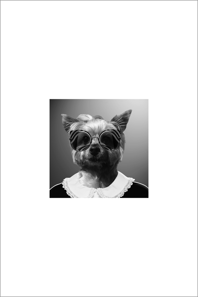 AL15512_WB01