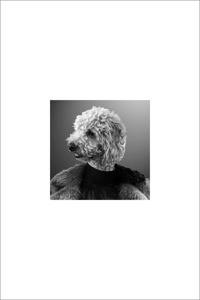 AL15513_WB01