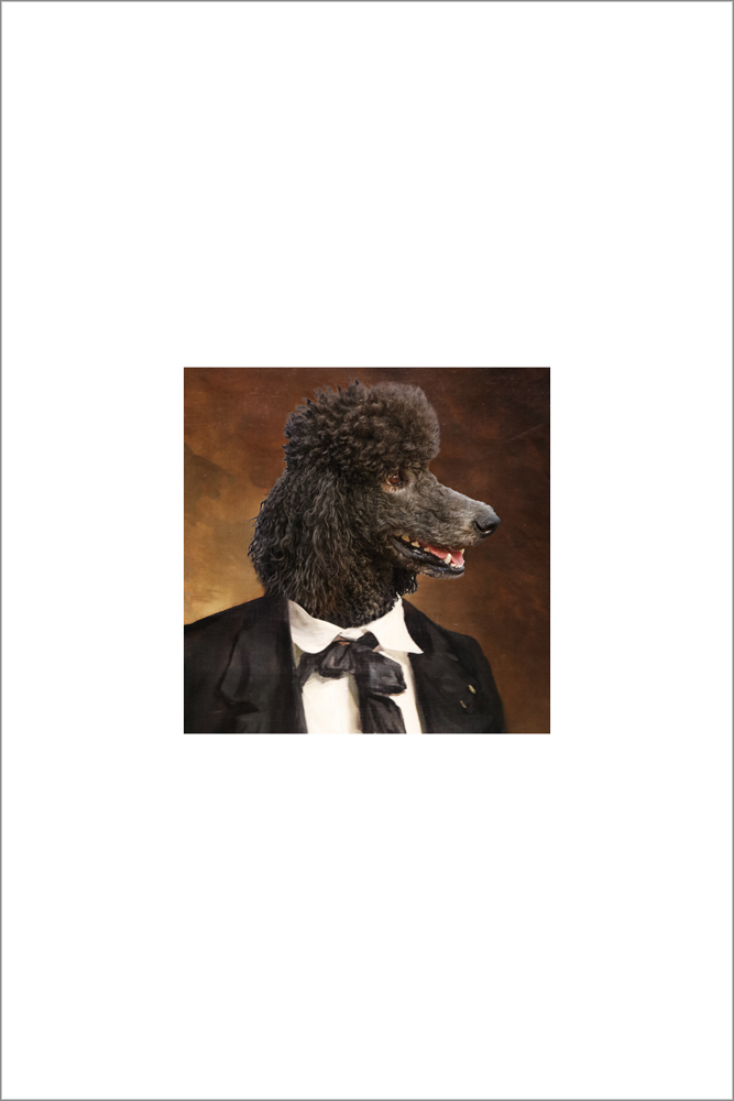 AL15927_WB01