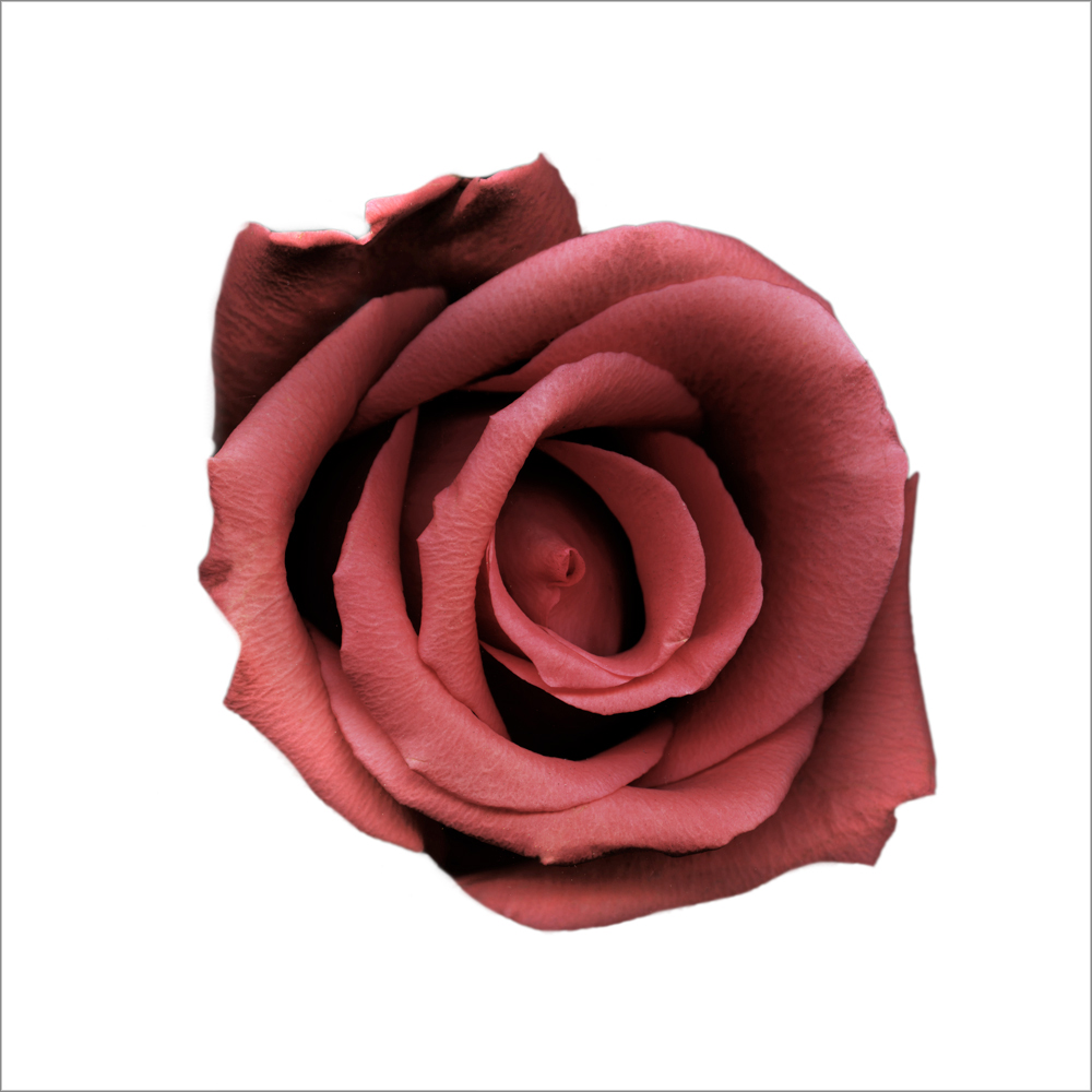 AL20968_WBG more colors