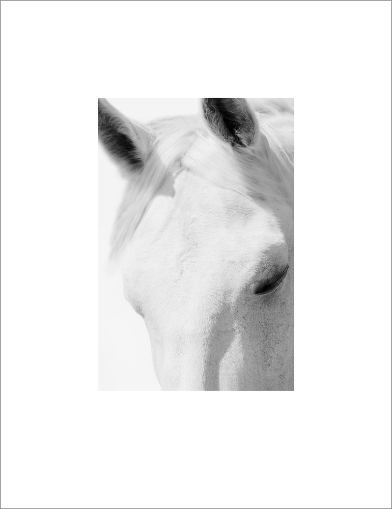 AL16522C_WB