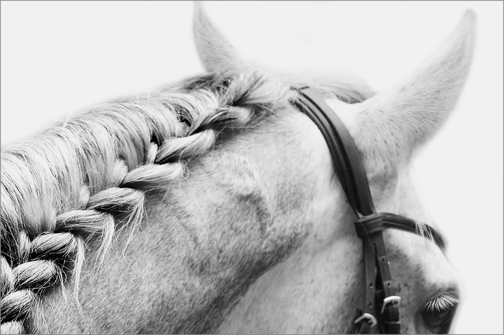 AL21702BW_GY