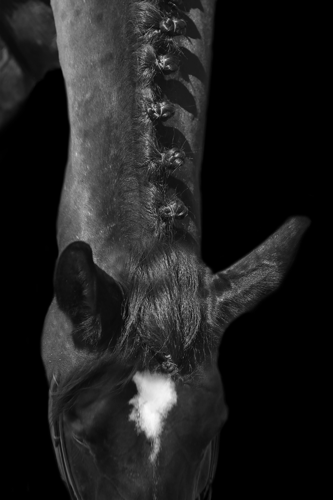 AL21717BW