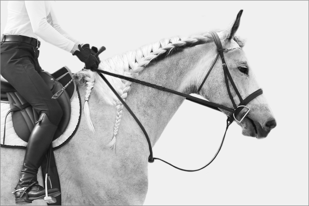 AL21718BW