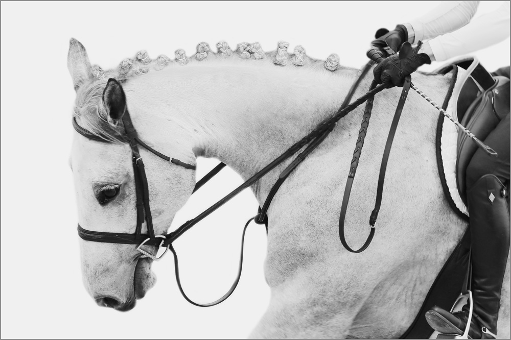 AL21720BW