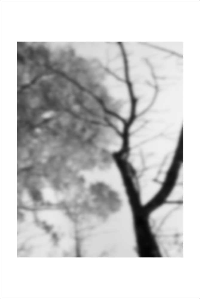 AL22180_WB
