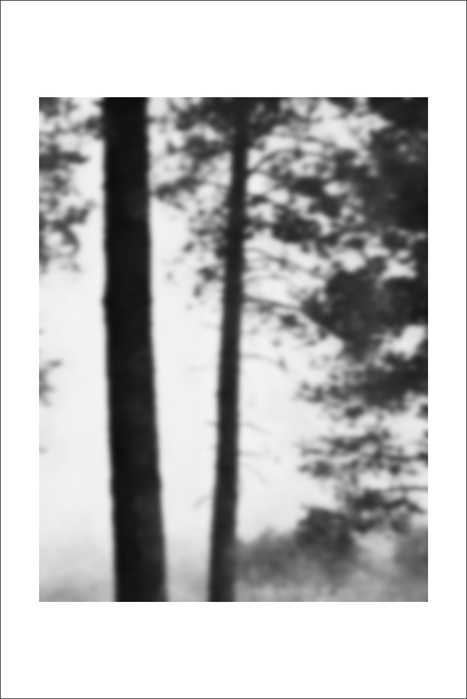 AL22181_WB
