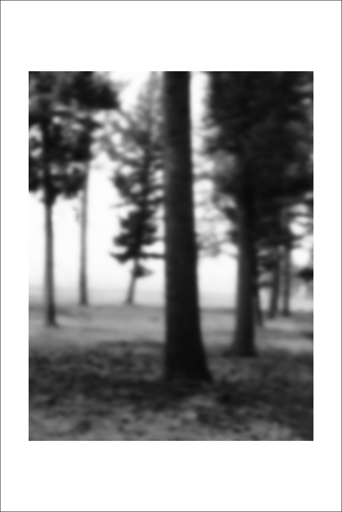 AL22182_WB