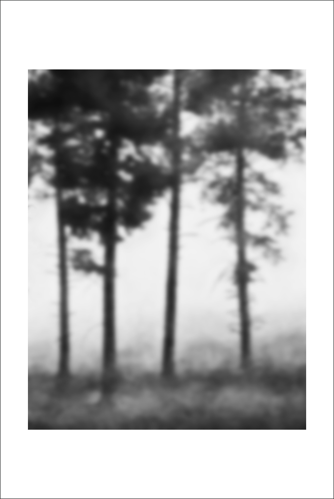 AL22183_WB
