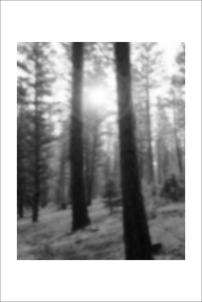 AL22187_WB