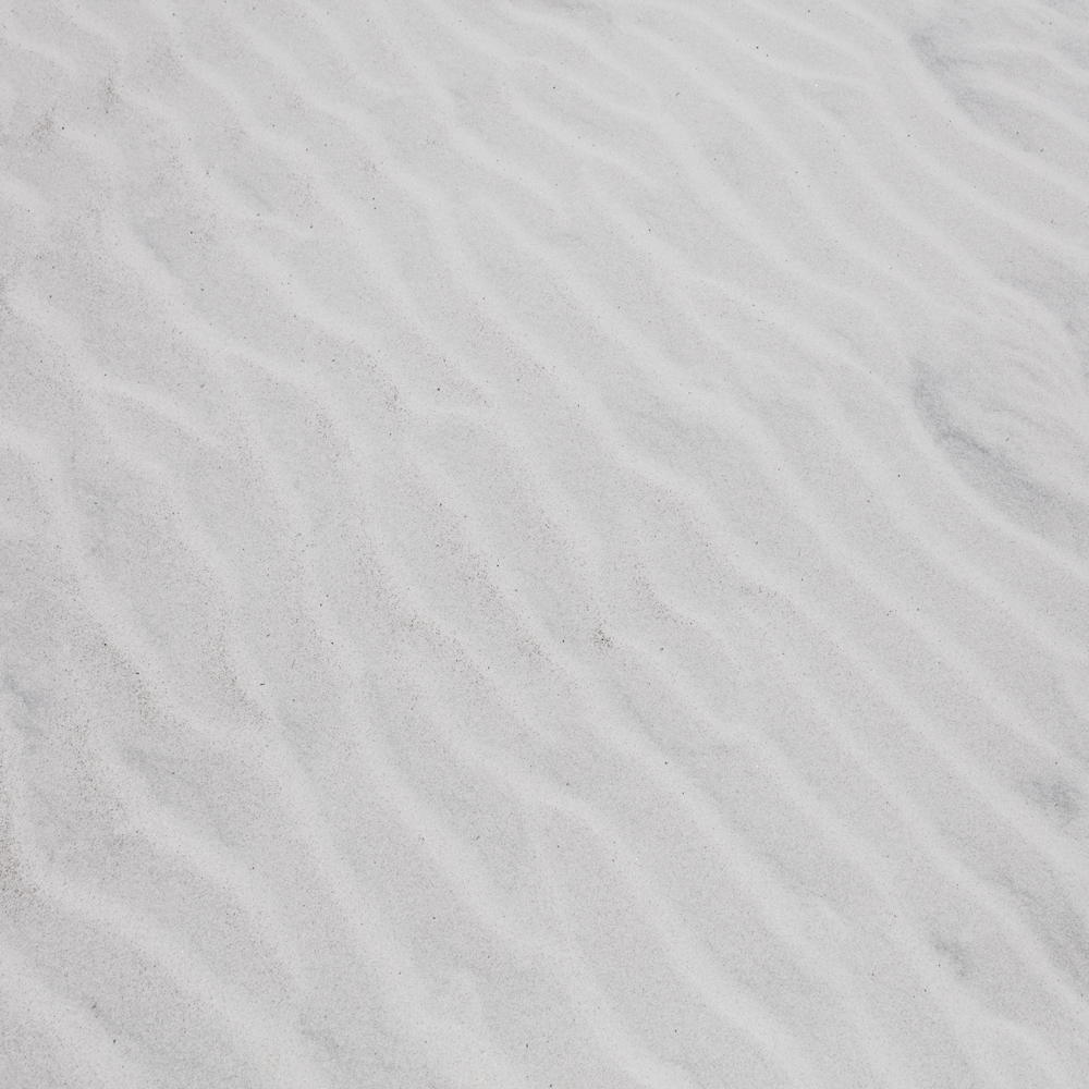 AL22290