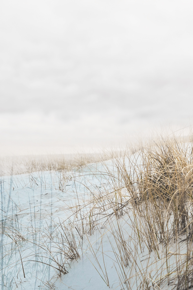 AL23009