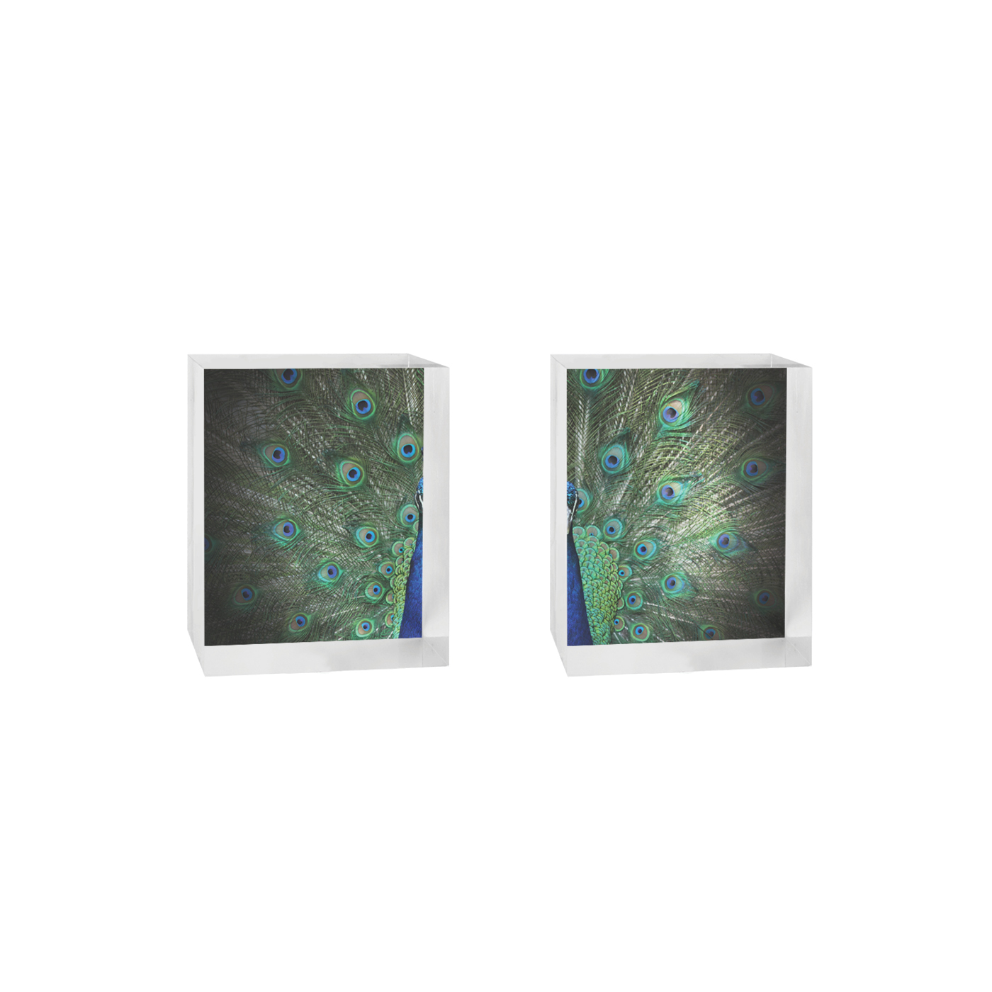 AS00512_LR