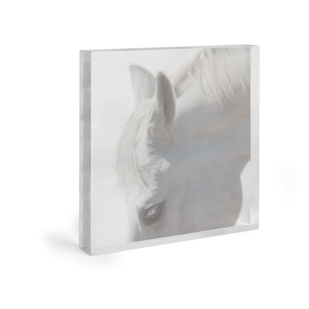 AS10054