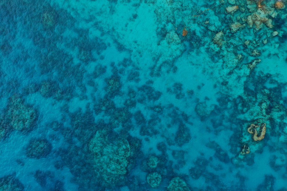 AL23809