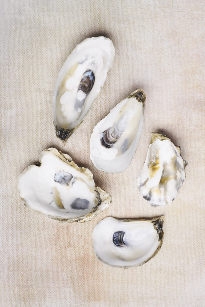 AL25284