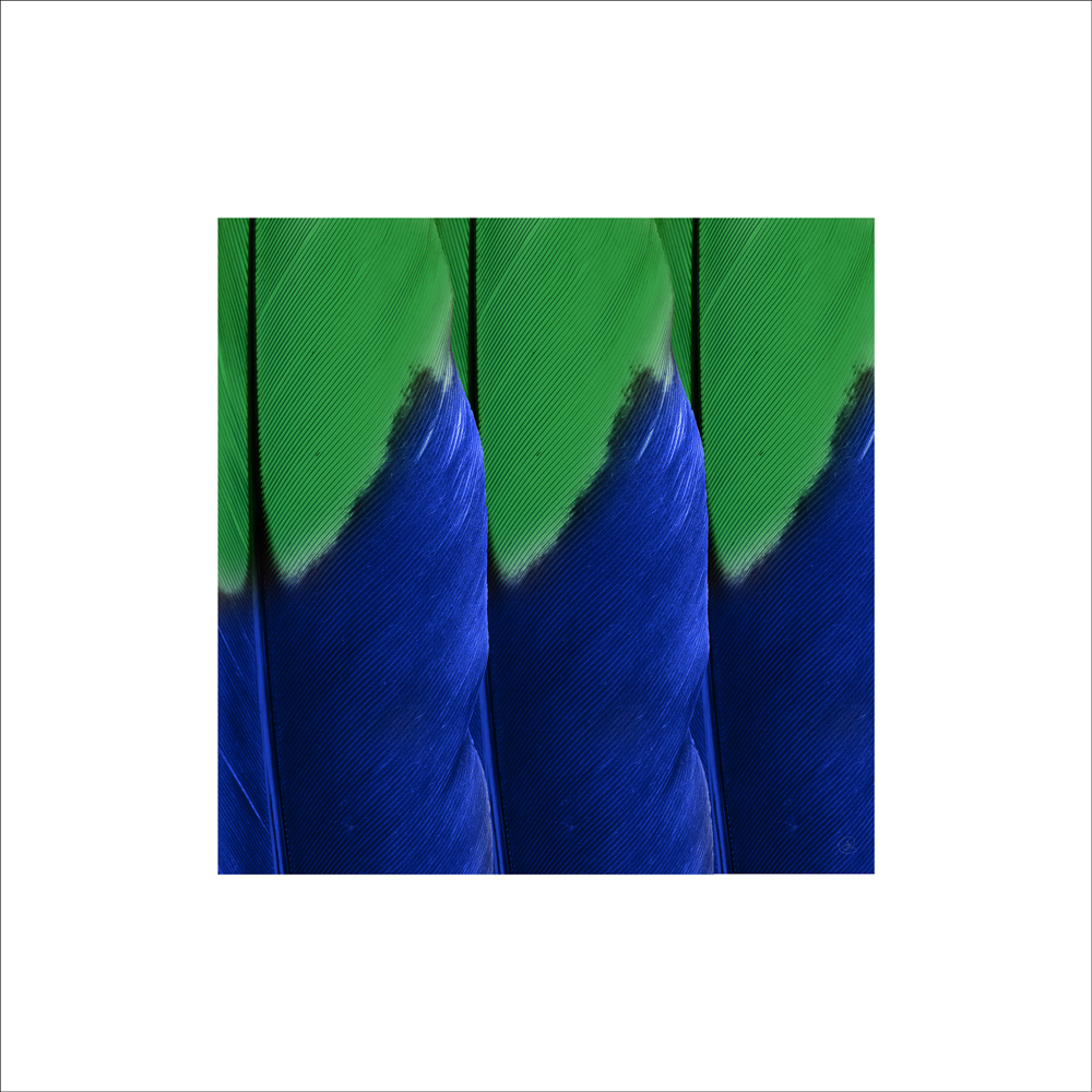 AL25687_WB